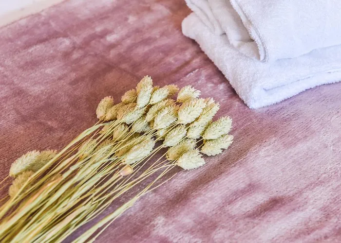 Apartamento Hyper-centre - Le Saint-pierre - Cathédrale