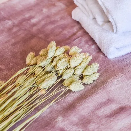 Appartement Le Saint Pierre